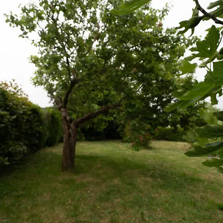 Holiday home Le Pavillon Flace