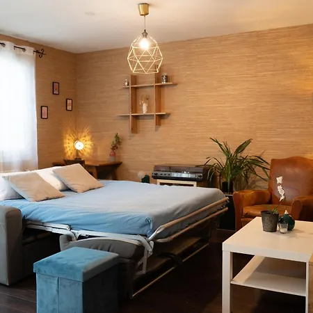 Le Pavillon Flace Souligne-Flace