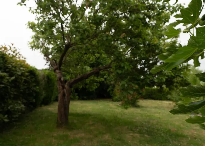 Nyaraló Le Pavillon Flace